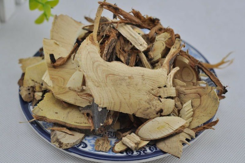 半春子幽谷巨人胡秃子根批发零售中药材