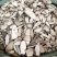 山枝根栀子根可打粉批发零售中药材品质保证