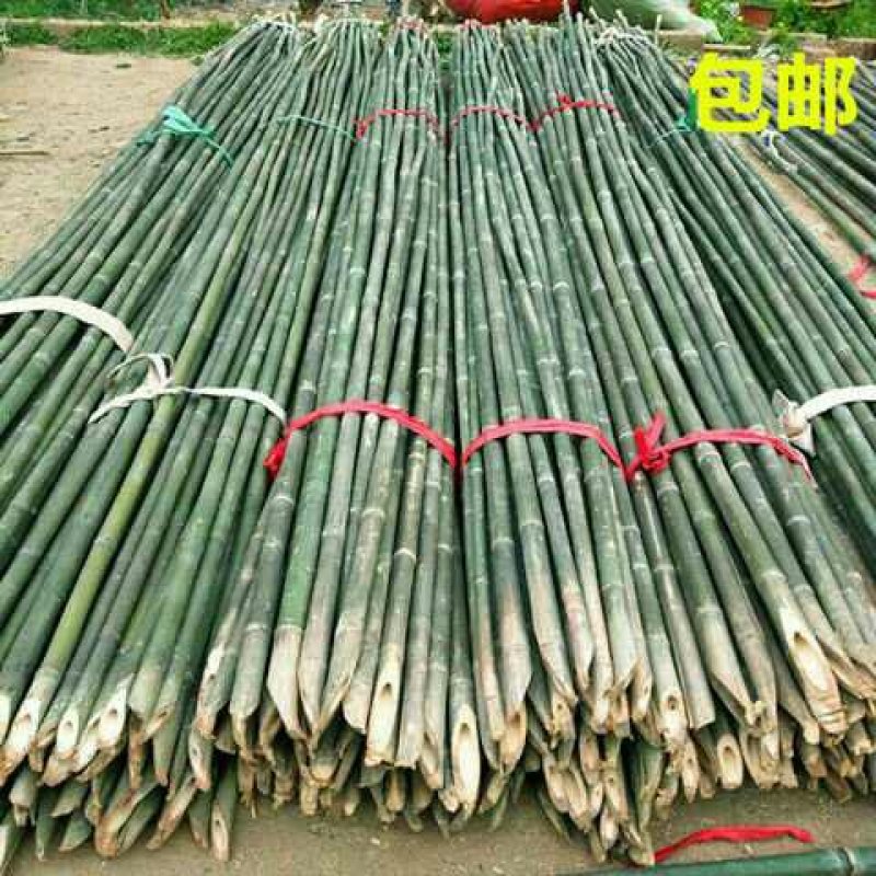 竹竿装饰潢粗楠小竹子防腐菜园搭架竹篱笆栅栏彩旗细竹杆