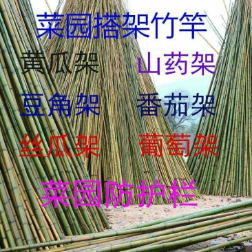 竹竿装饰潢粗楠小竹子防腐菜园搭架竹篱笆栅栏彩旗细竹杆