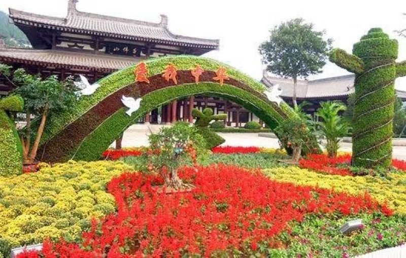 立体花卉造型立体造型设计施工
