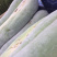 大粉皮冬瓜