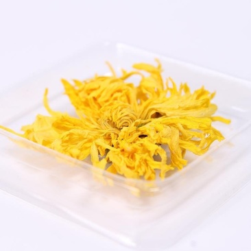 金丝皇菊（成奇生物）