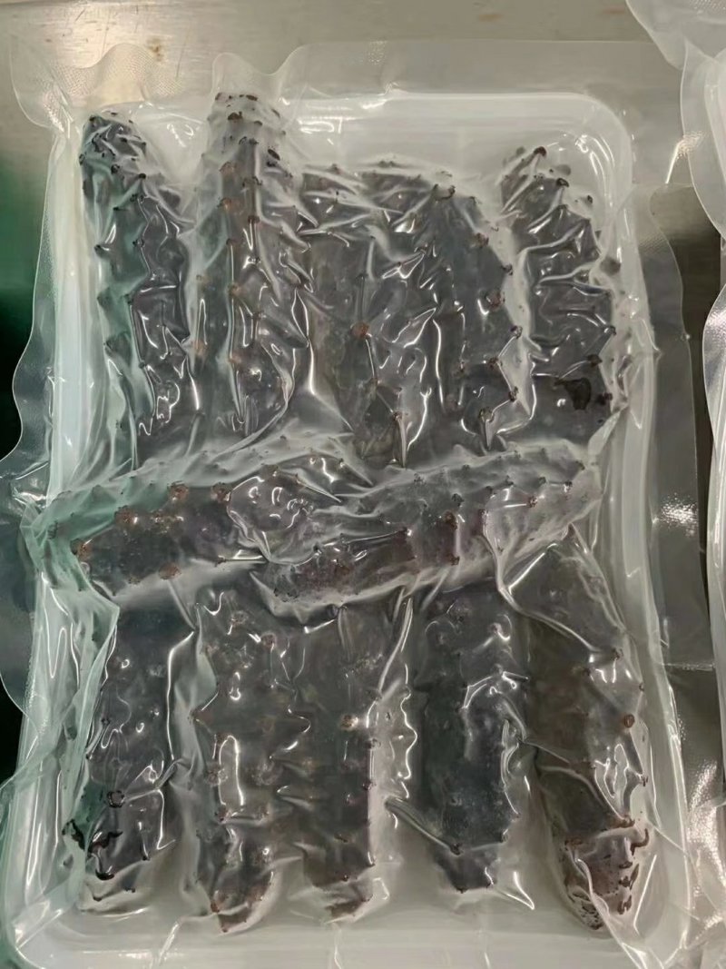 即食米刺参一袋一斤10头有弹性经济实惠有营养