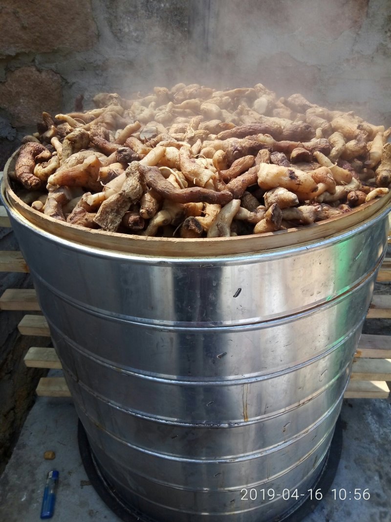 九蒸九晒熟黄精，泰山山脉野生甜黄精