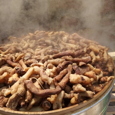 九蒸九晒熟黄精，泰山山脉野生甜黄精
