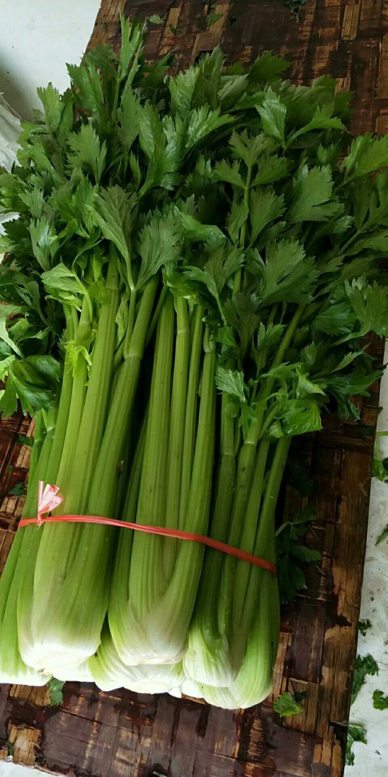 西芹，毛芹