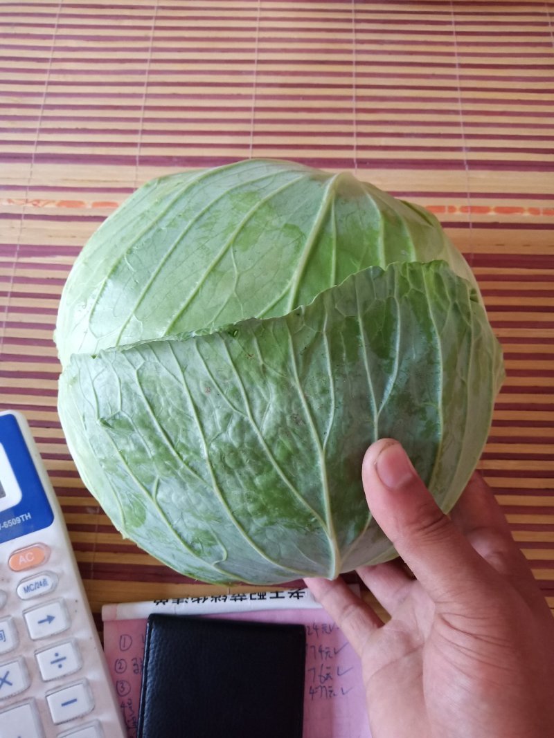 精品墨玉小平包个头二三斤叶青根平，无虫眼老化