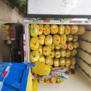 精品沙地鲜花生，白沙果，大果，籽粒饱满，代发全国各地
