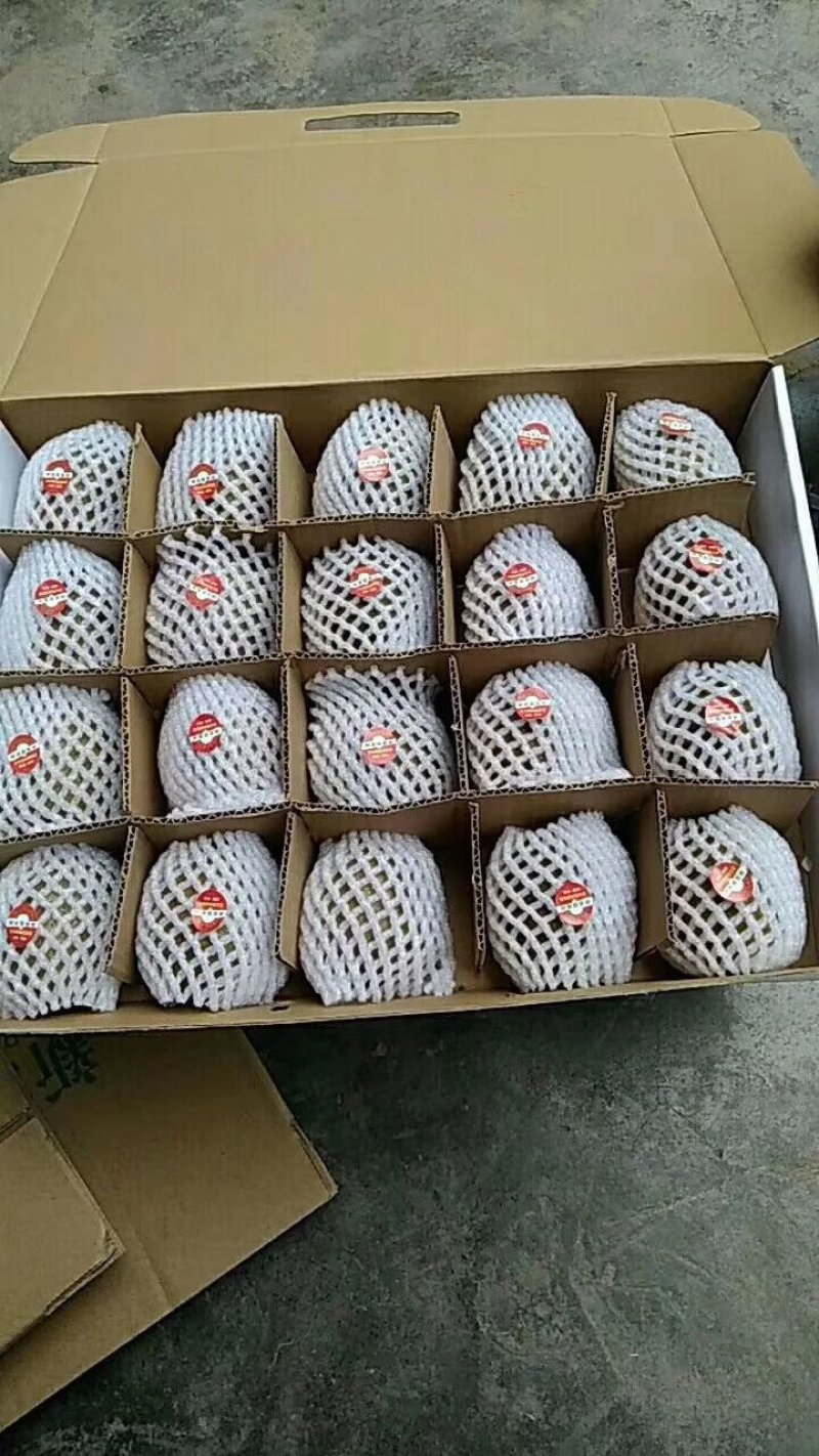 徐香猕猴桃