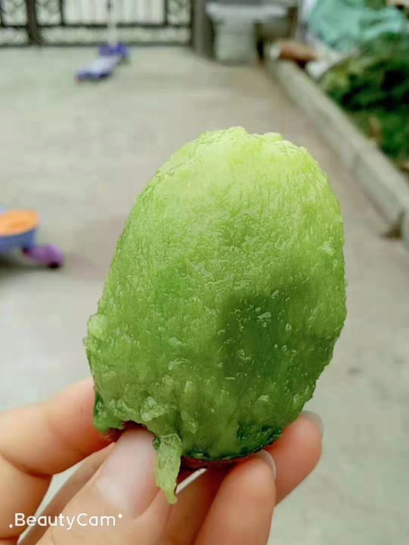 汉中市城固县猕猴桃徐香猕猴桃现摘现发