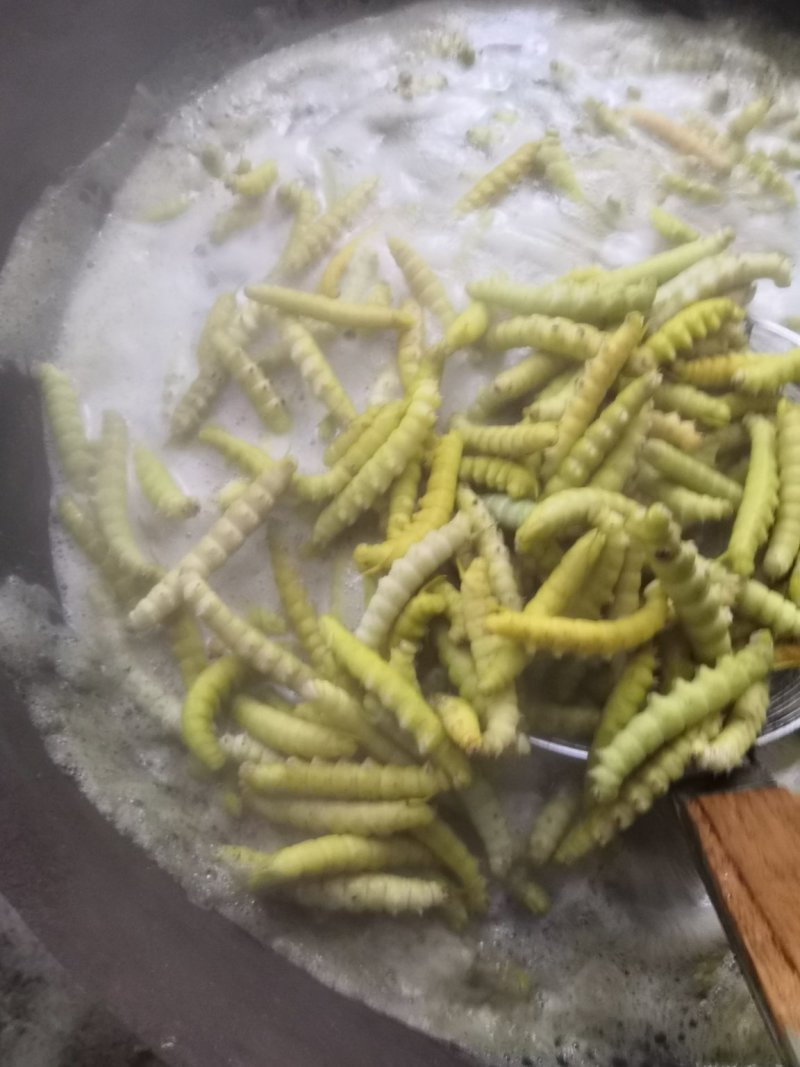 野生豆虫豆丹熟虫