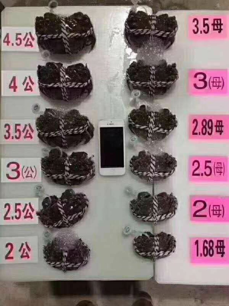大闸蟹
