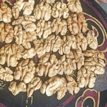 核桃仁