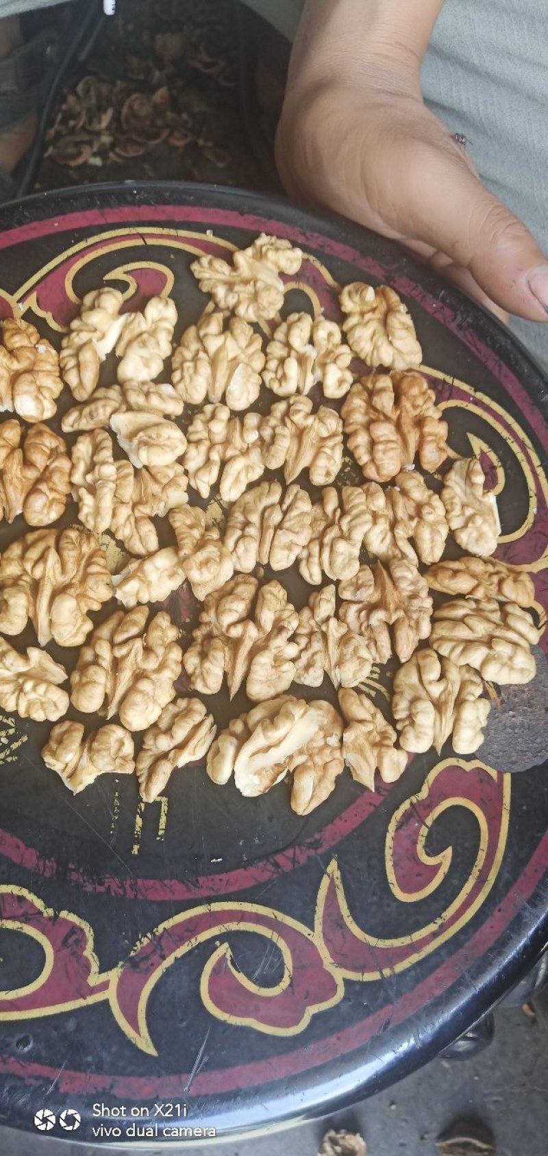 核桃仁