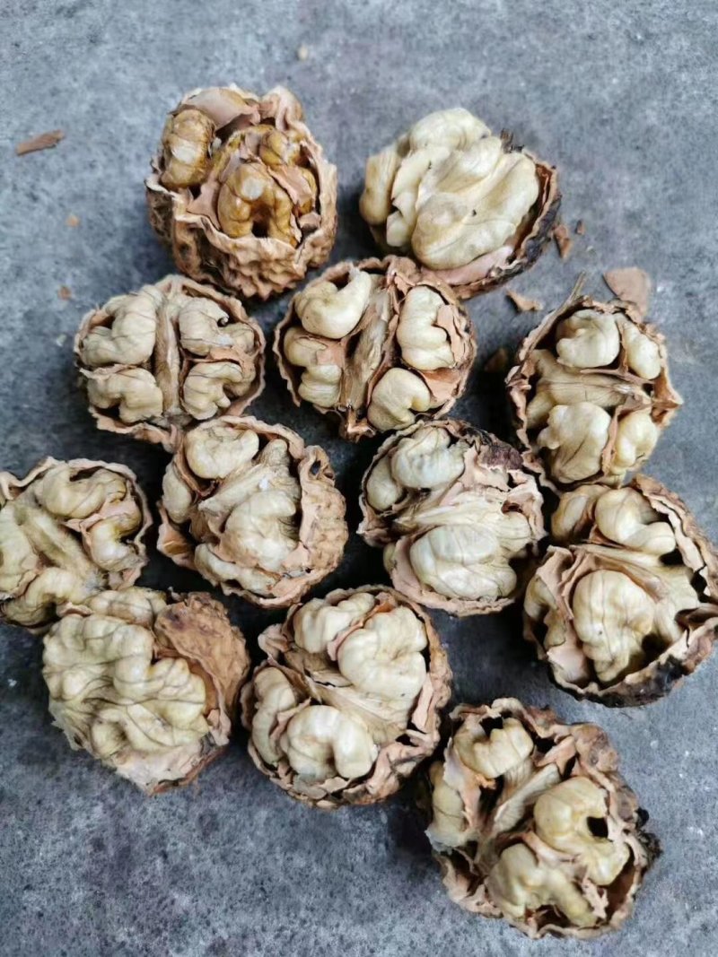 核桃仁