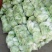 夏阳白菜，抗热王白菜，山东大白菜肥城白菜大量供应
