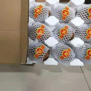 徐香猕猴桃