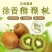 徐香猕猴桃