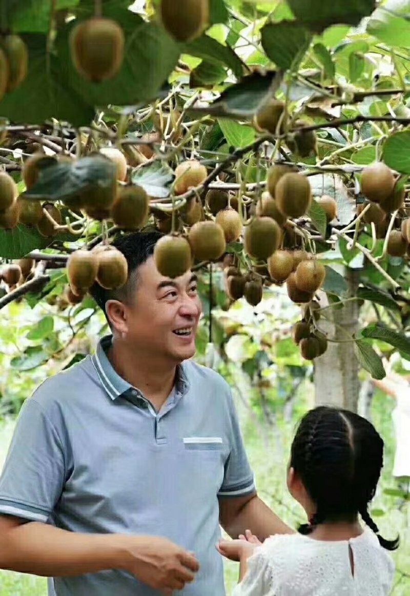 徐香猕猴桃