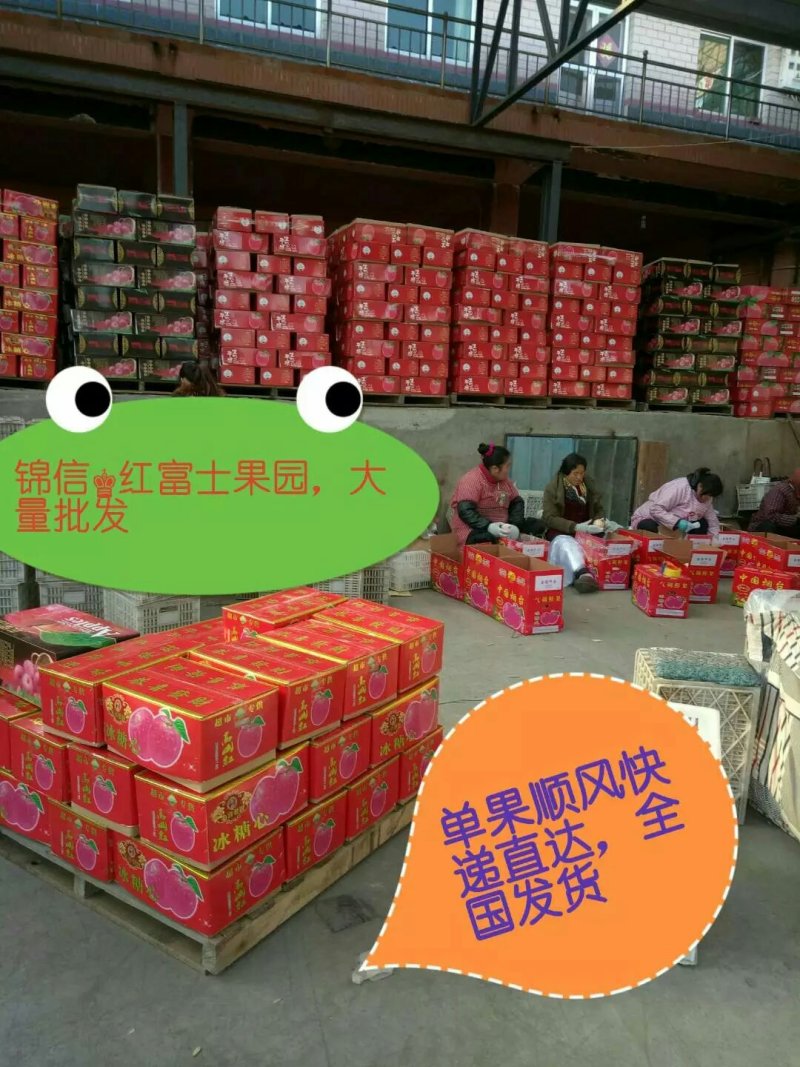 红富士苹果