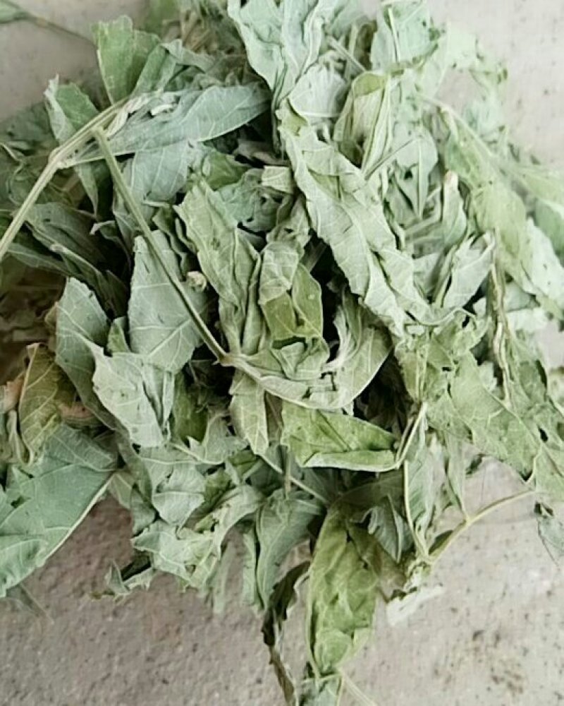 木豆叶产地直供支持线上交易可搭配多品种采购大货联系