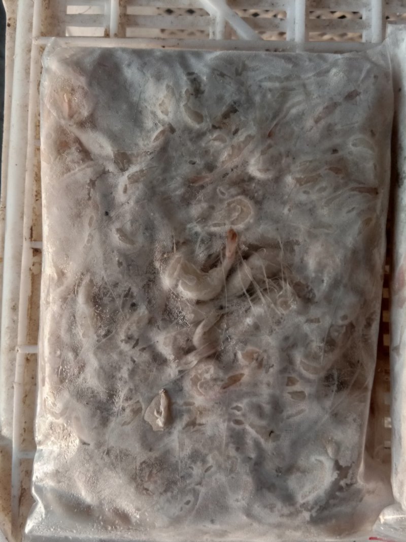 淡水白虾