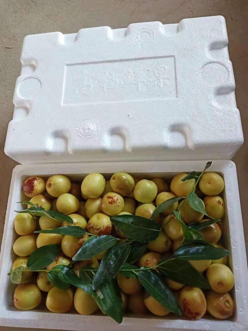 大荔冬枣