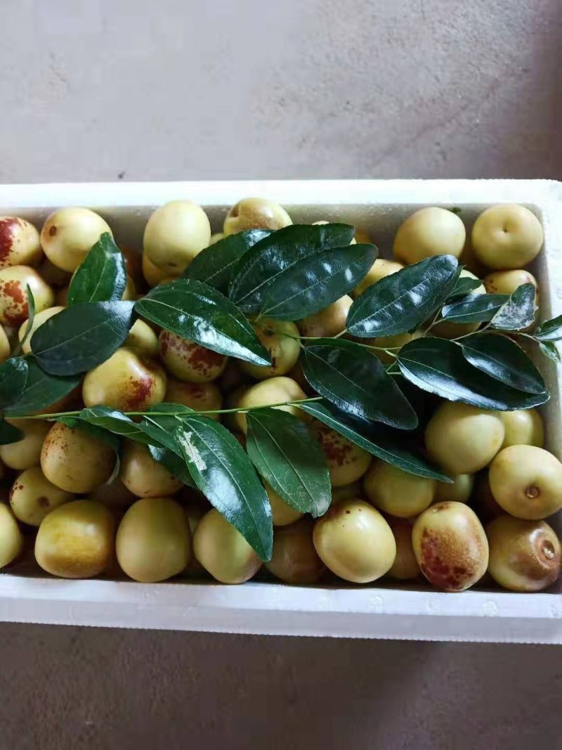 大荔冬枣