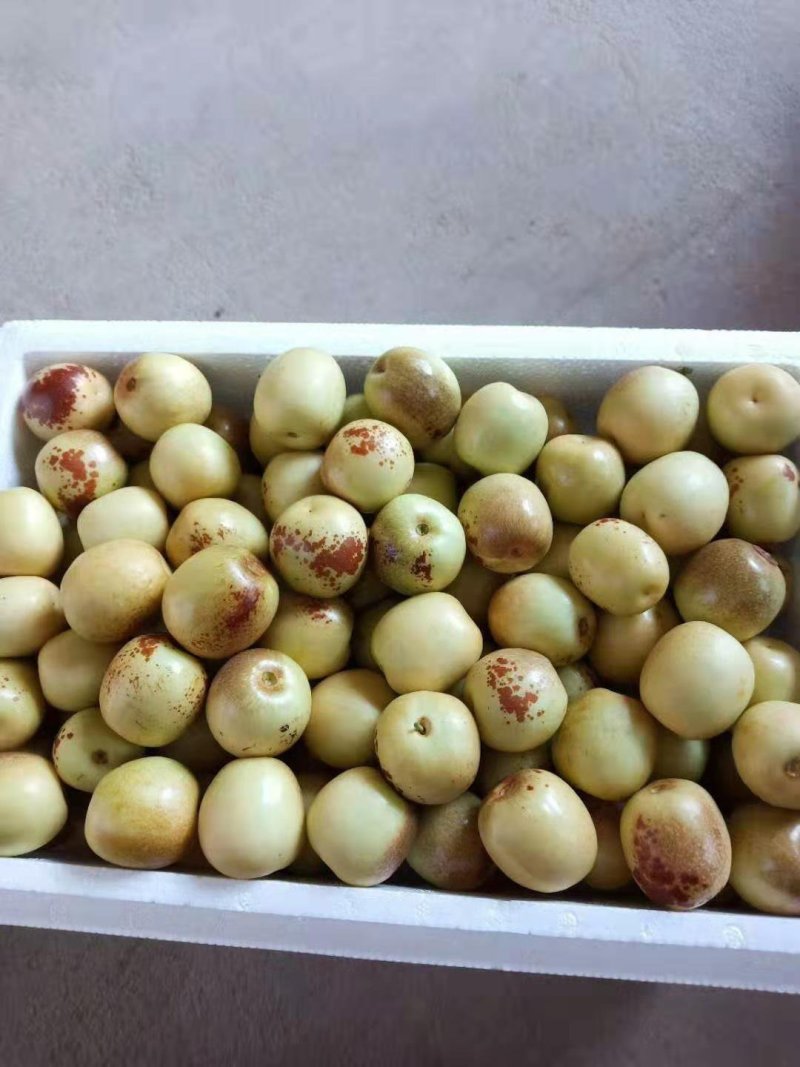 大荔冬枣
