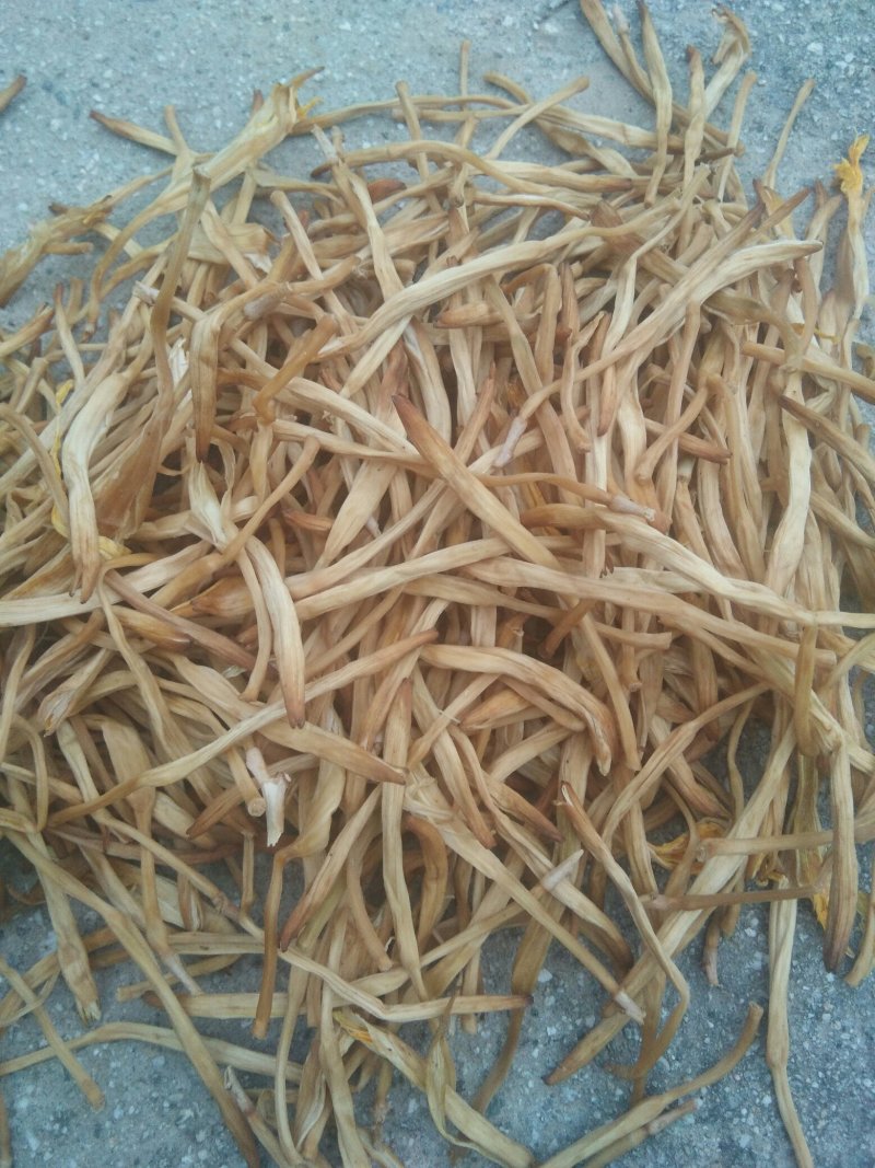 干品黄花菜