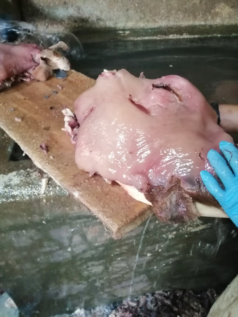 牛头肉