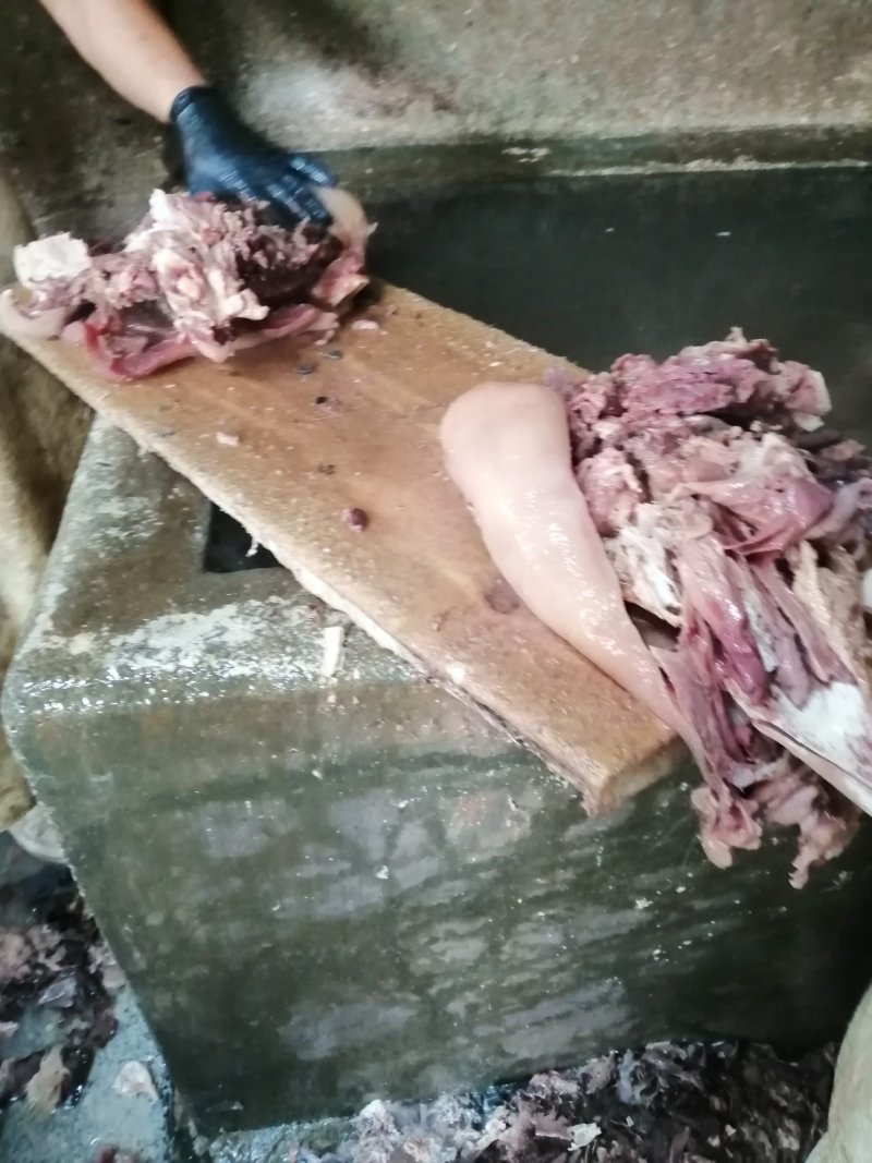 牛头肉