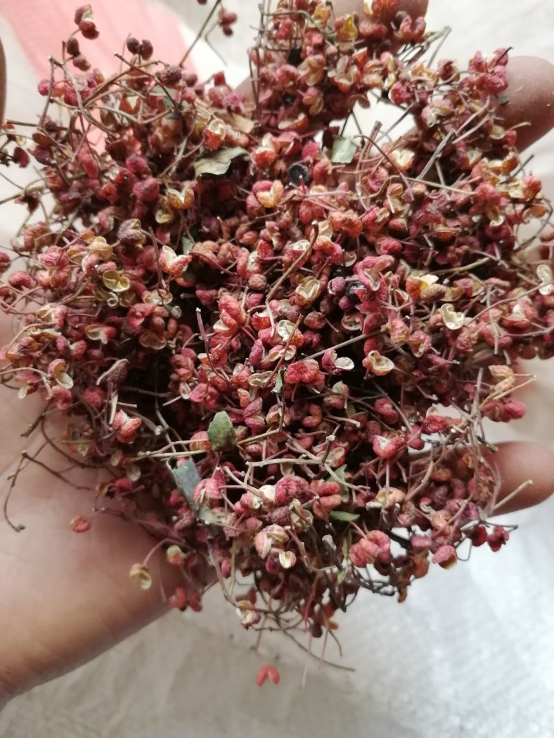 大红袍花椒