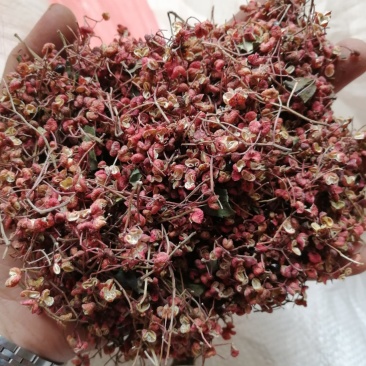 大红袍花椒