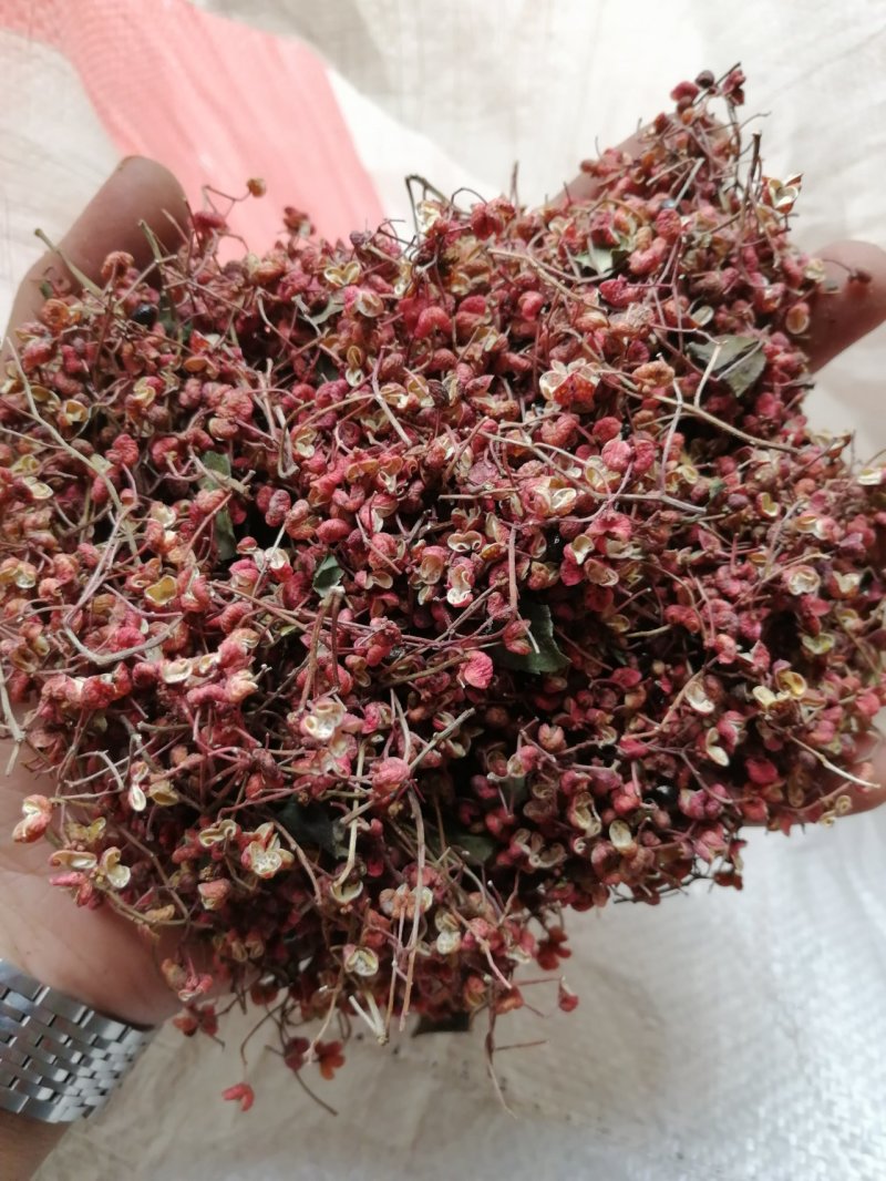 大红袍花椒