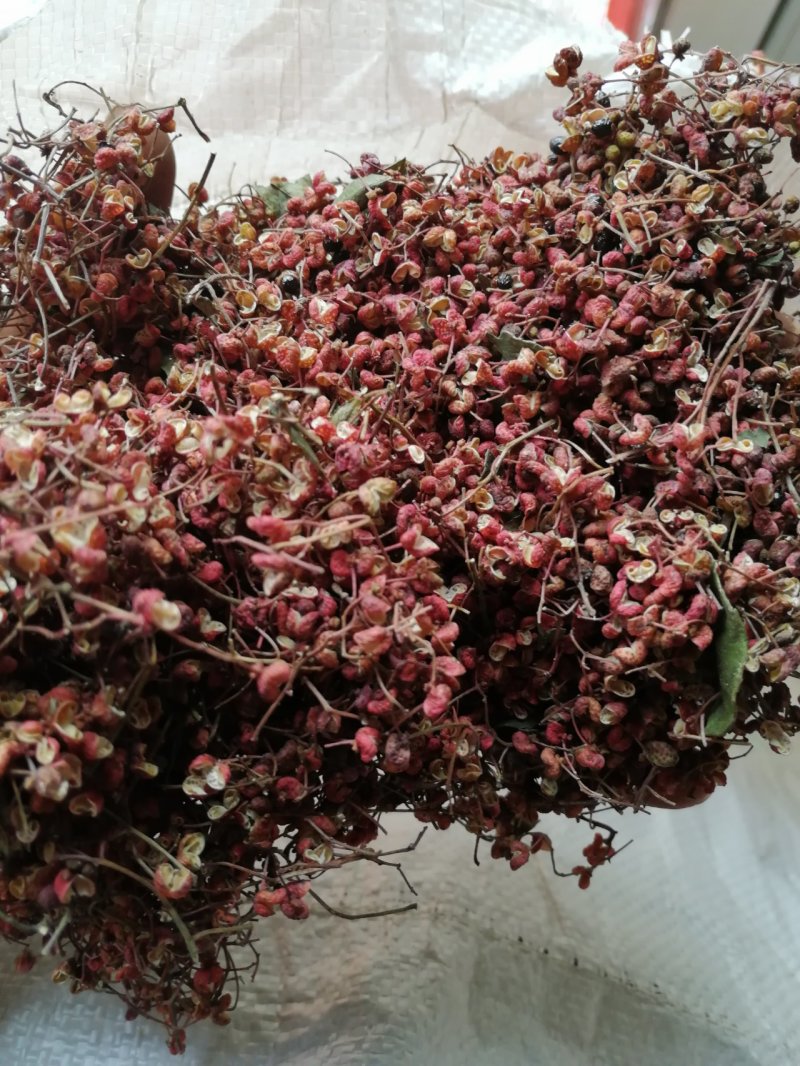 大红袍花椒
