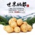 恩施富硒小土豆巴东黄心土豆原产地直发马尔科老品种