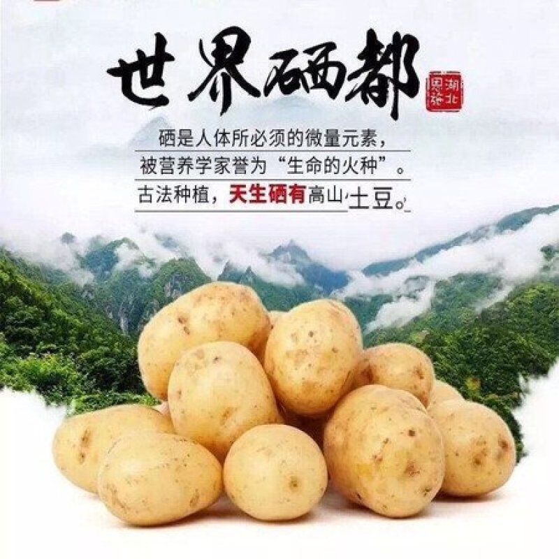 恩施富硒小土豆巴东黄心土豆原产地直发马尔科老品种