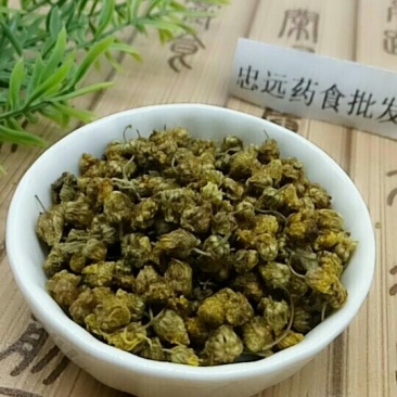 野菊花千余品种供应承接订单