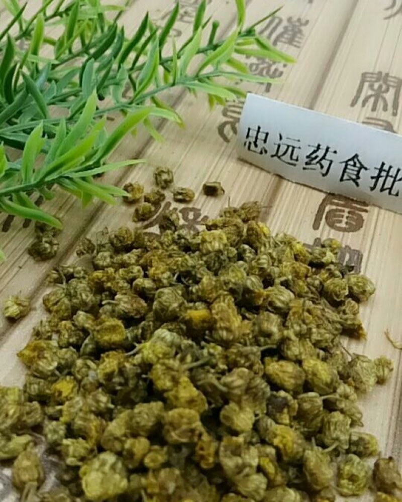 野菊花千余品种供应承接订单