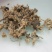 芫花中药专营品质保证量大从优