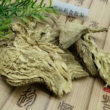 土人参千余品种供应承接订单