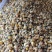 胎菊茶正品保证质量实图拍照无理由退货退款