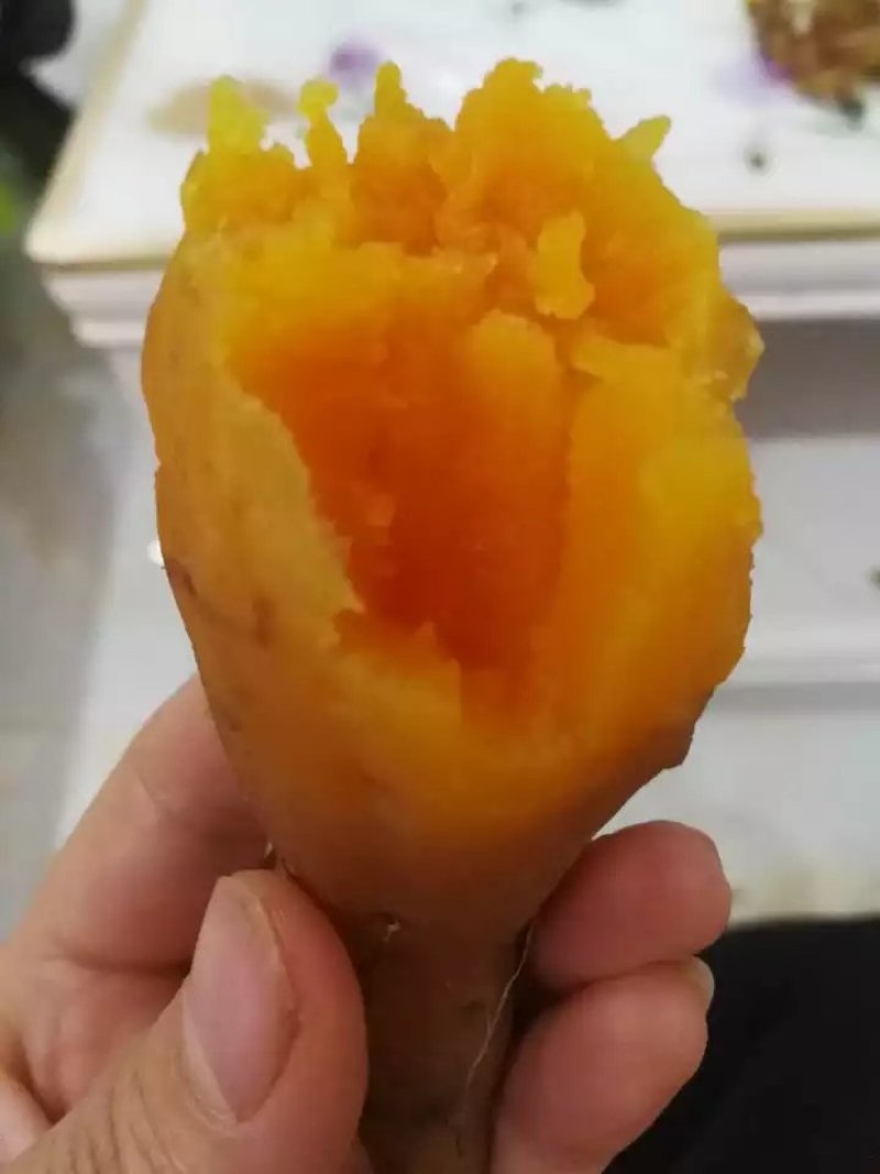 贵州紫云红芯薯5斤装，42元一箱