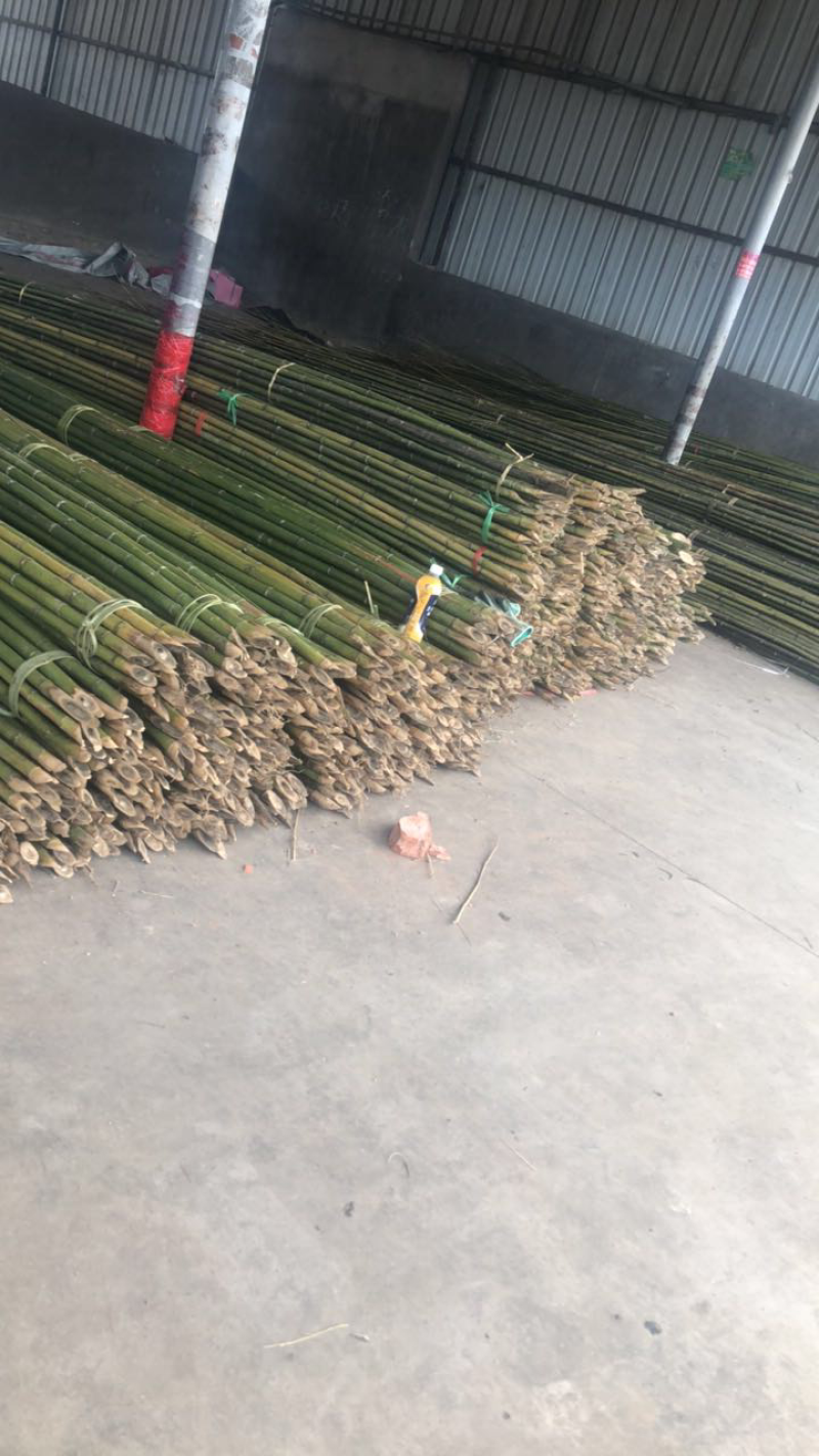 精品大棚竹