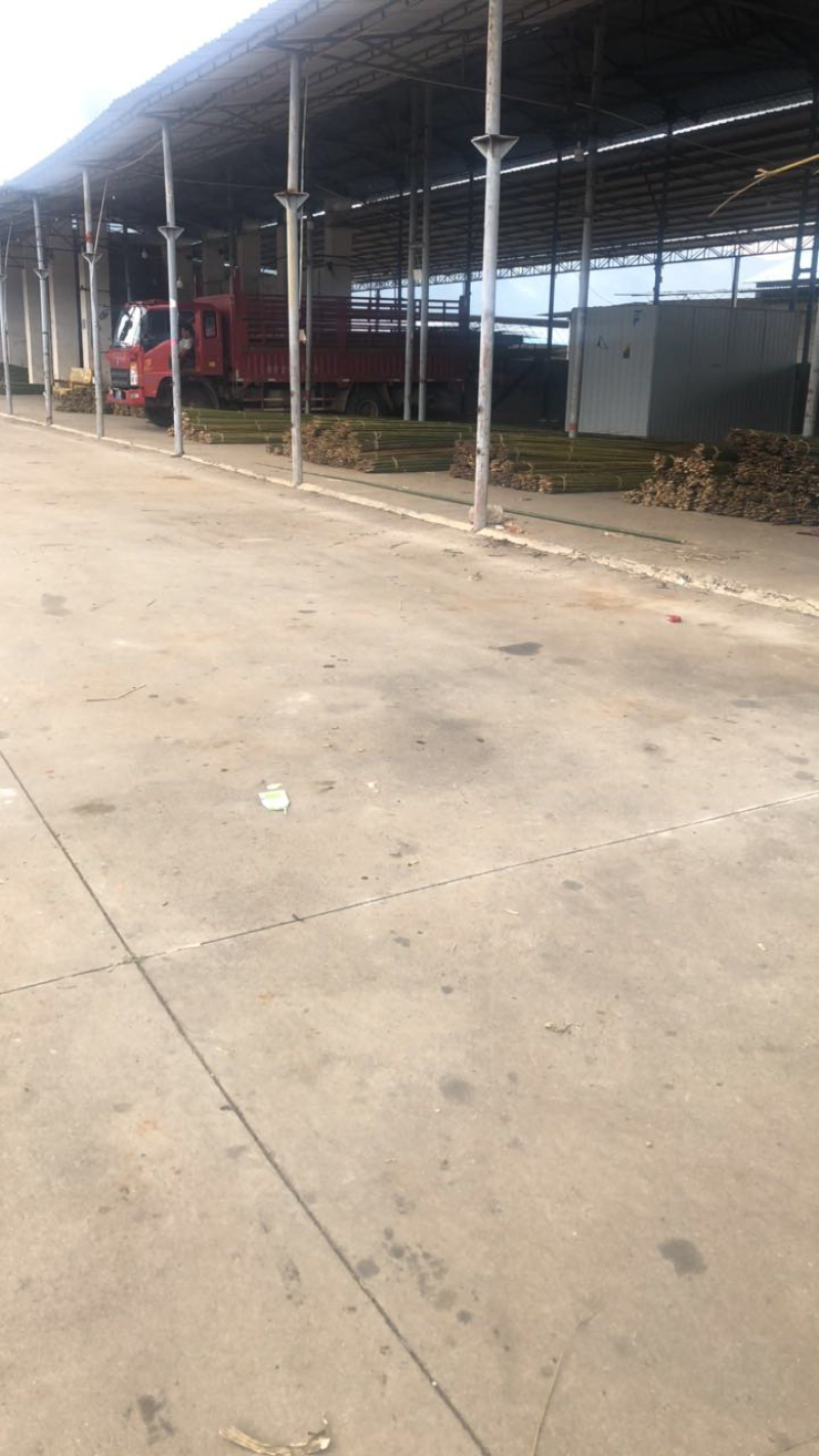 精品大棚竹