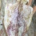 烧烤鱿鱼干A3A5