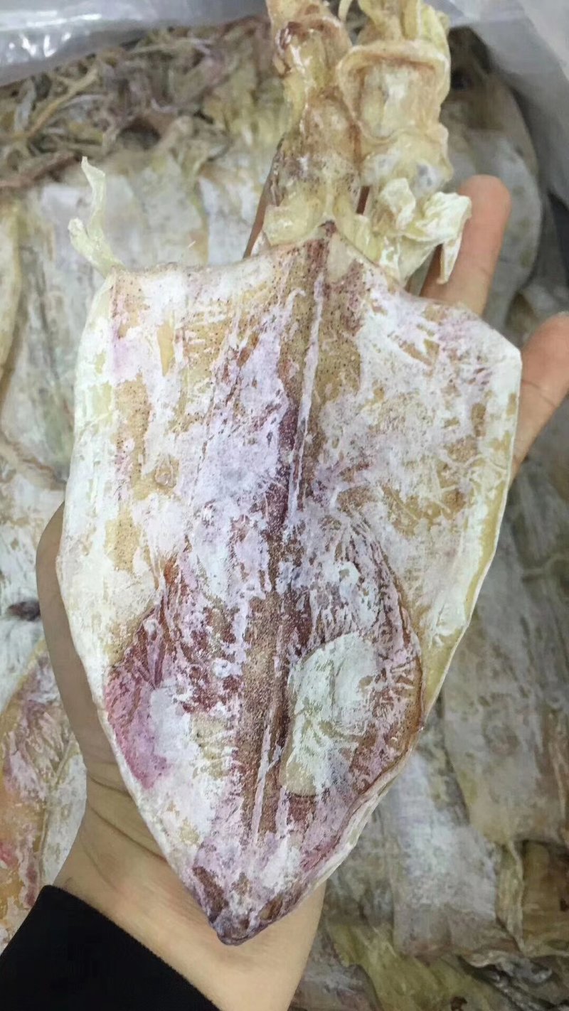 烧烤鱿鱼干A3A5