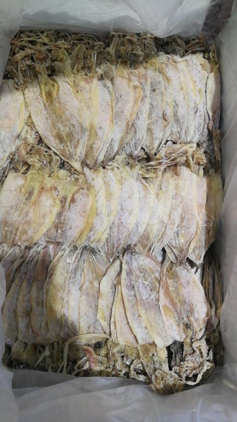 烧烤鱿鱼干A3A5